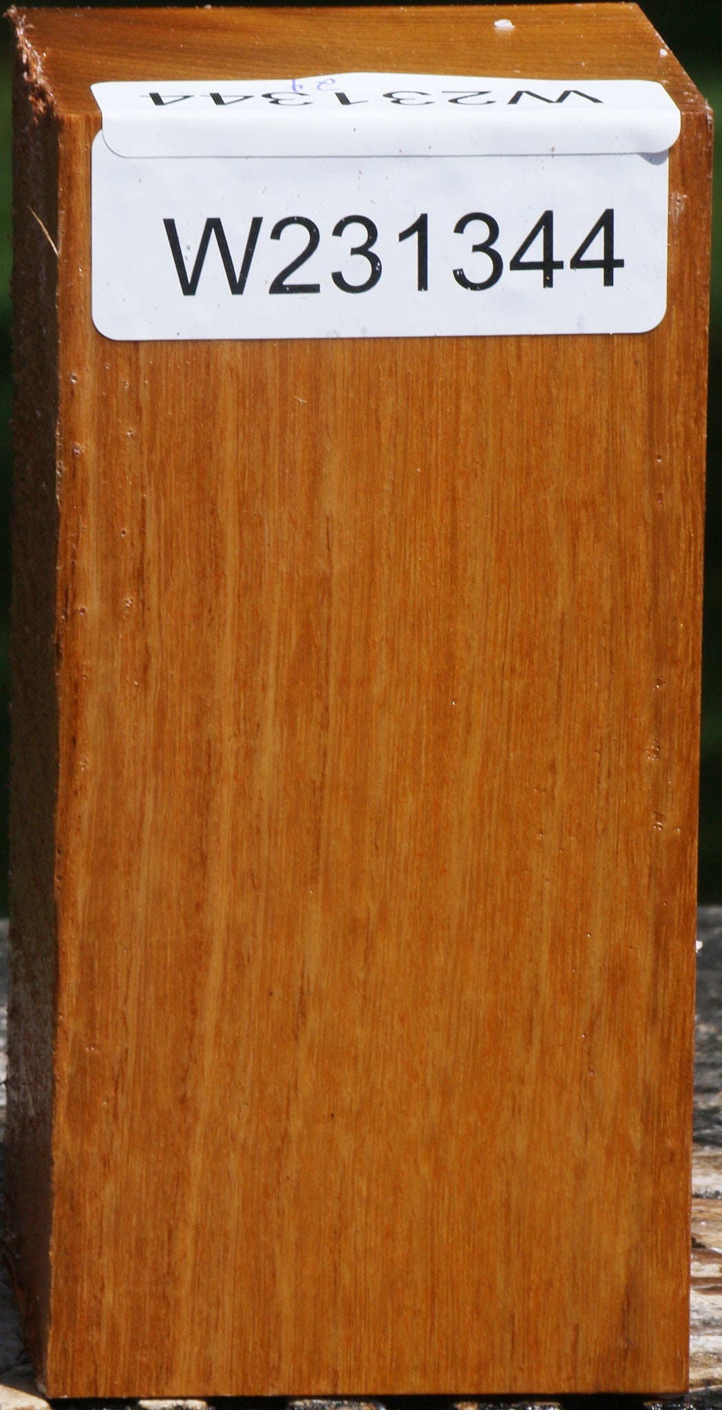 Silver Wattle Turning Square