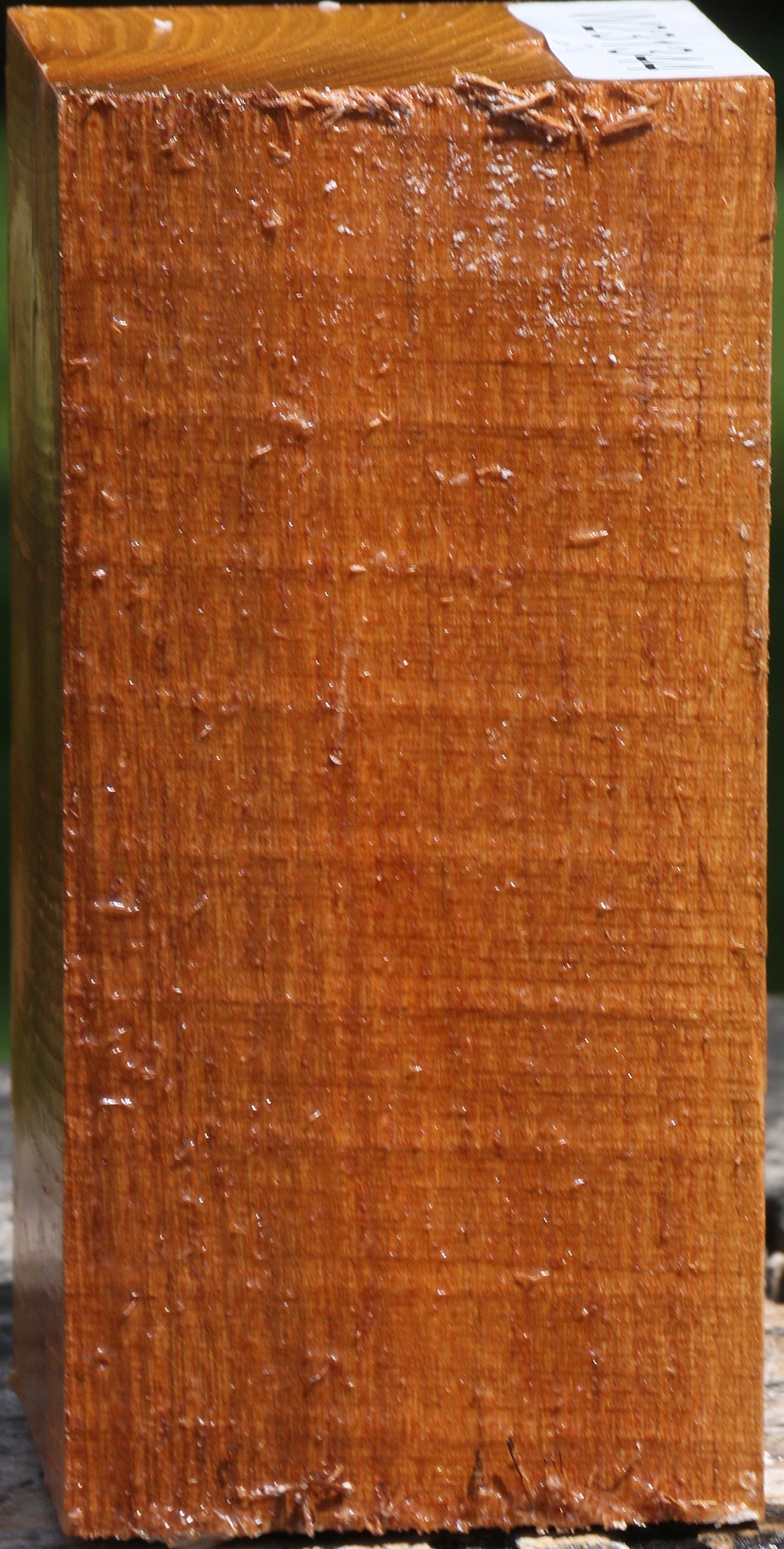 Silver Wattle Turning Square
