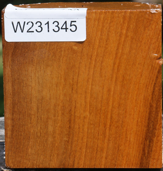 Silver Wattle Bowl Blank