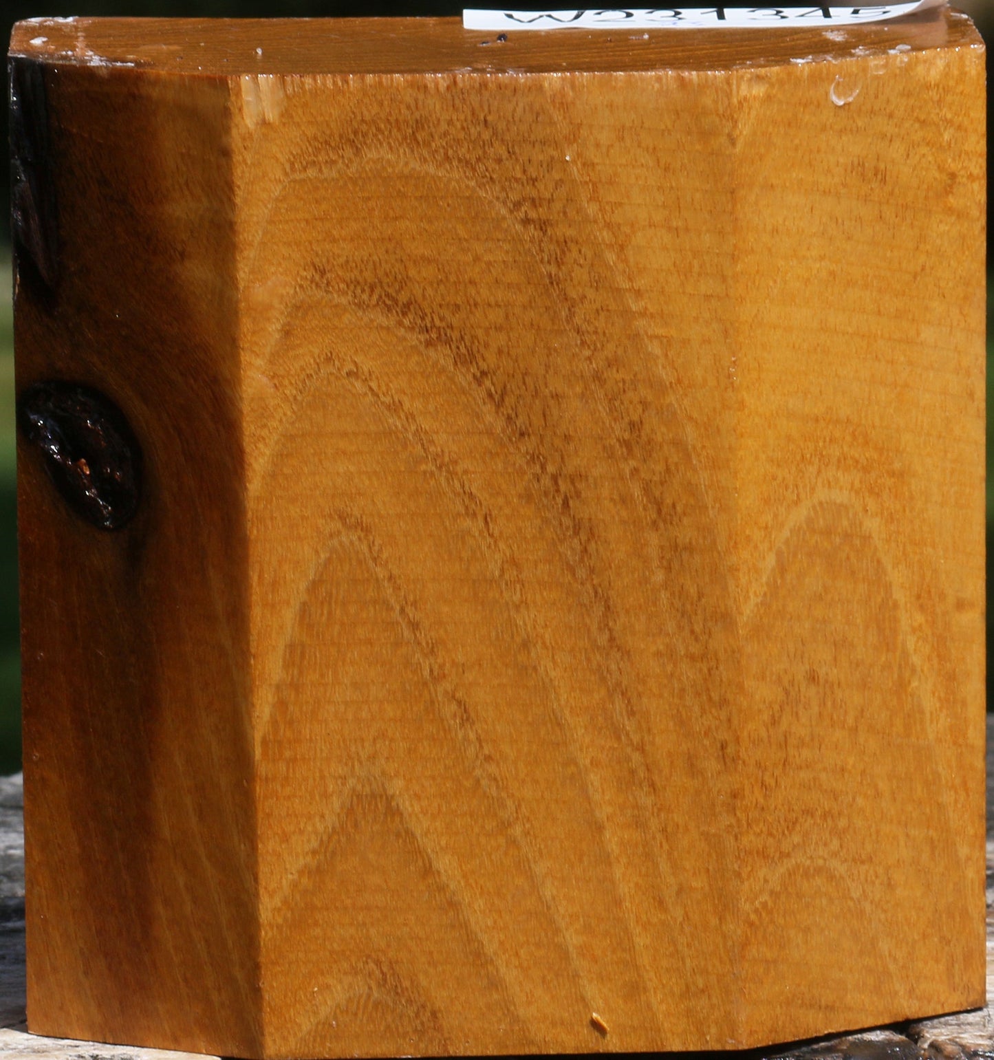 Silver Wattle Bowl Blank