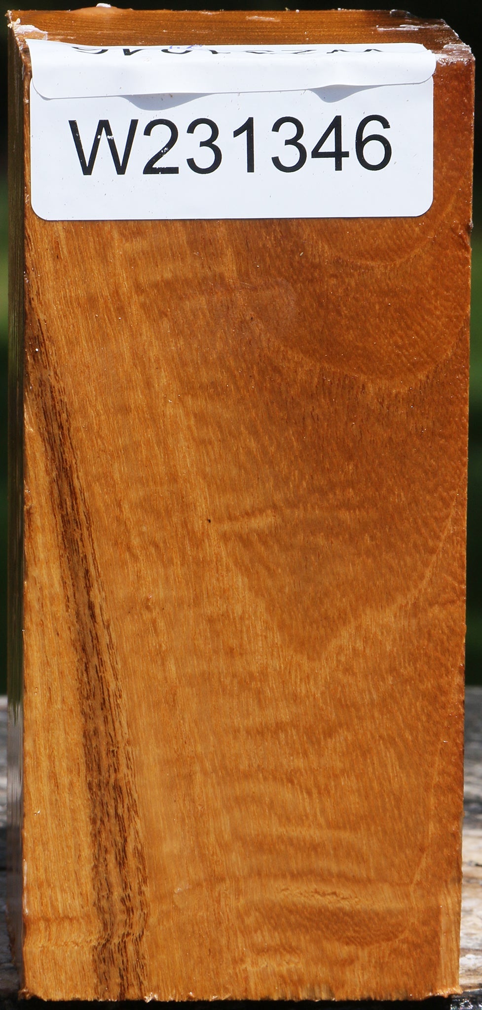 Silver Wattle Turning Square