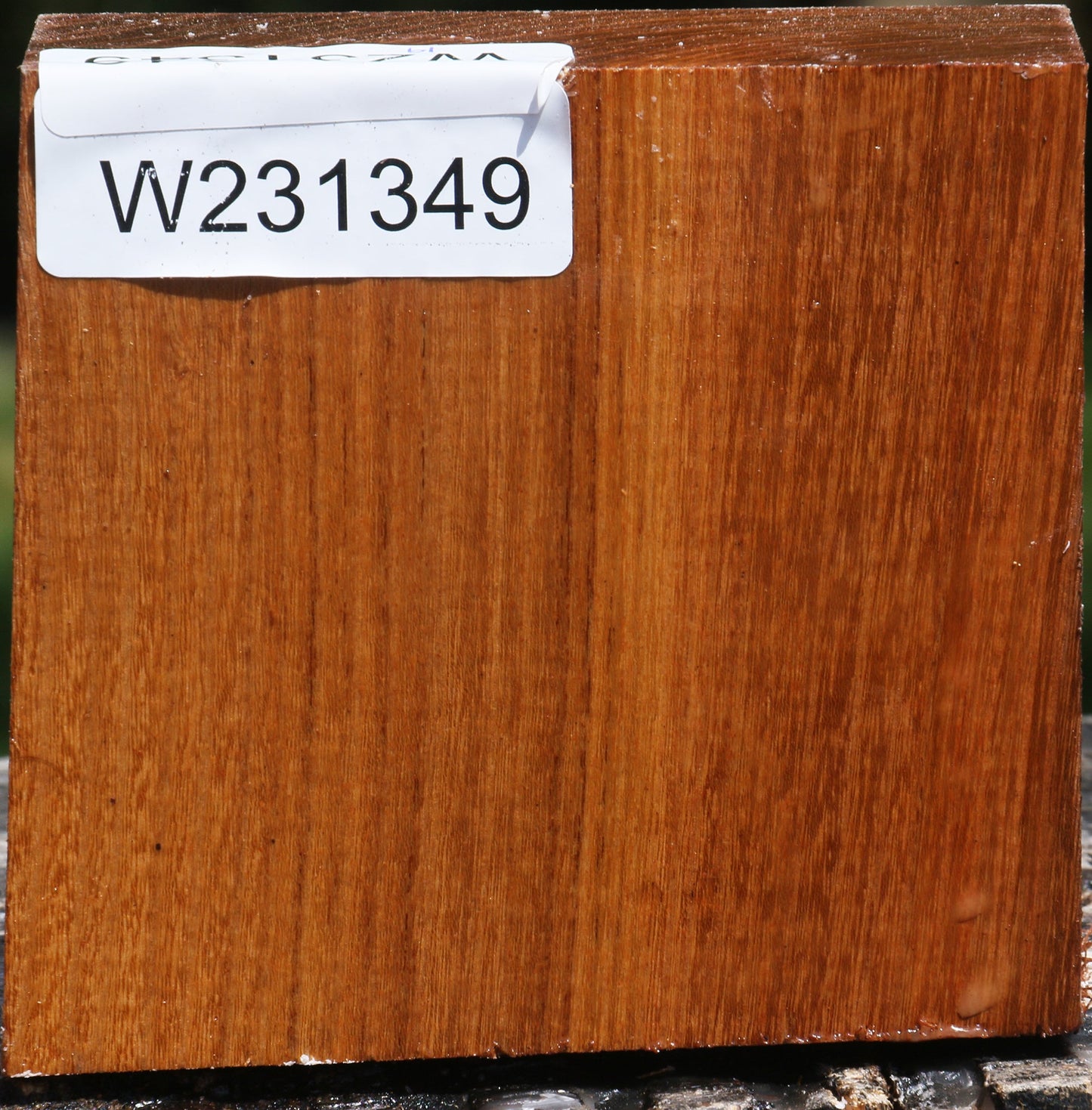 Silver Wattle Bowl Blank