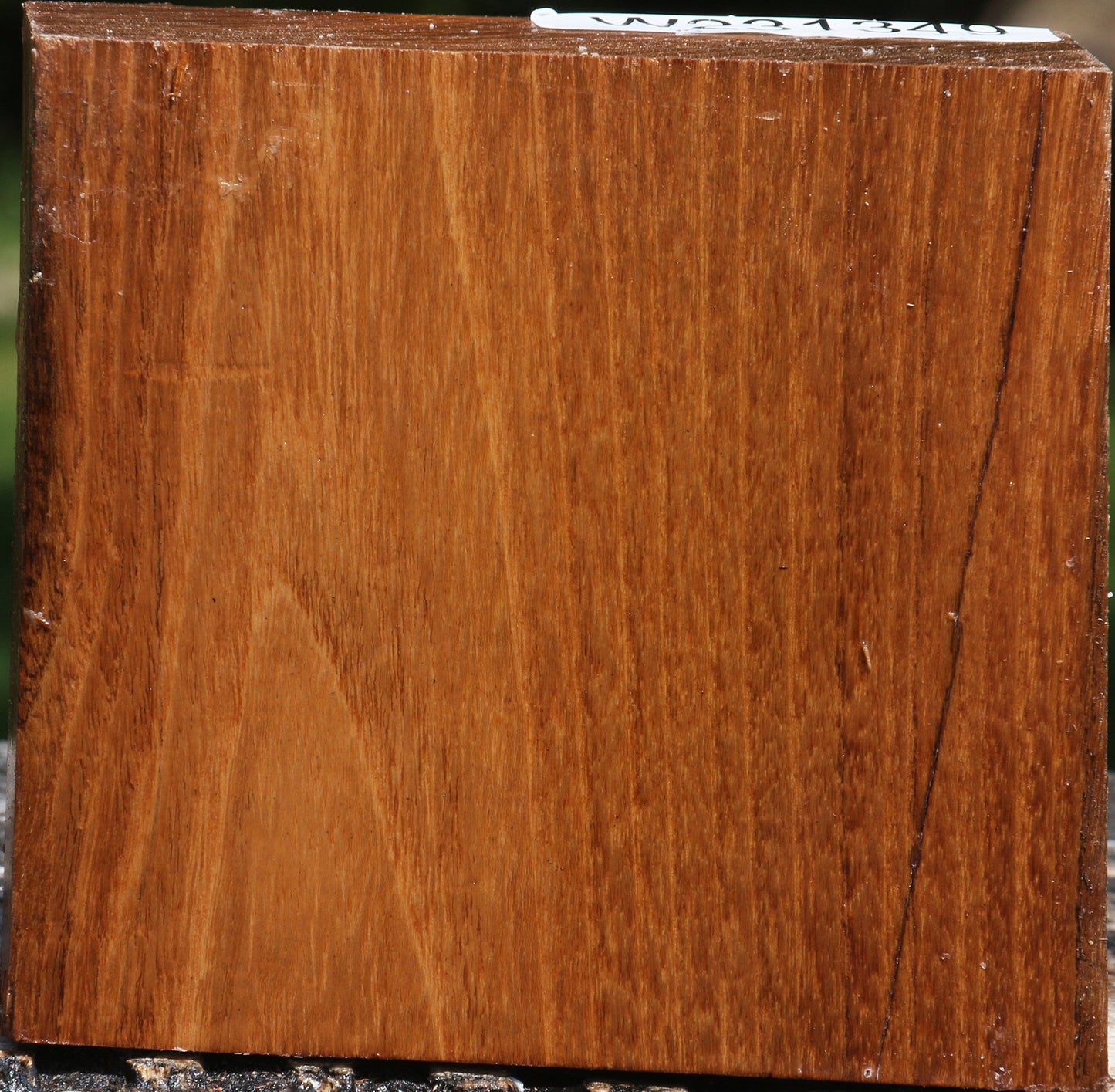 Silver Wattle Bowl Blank