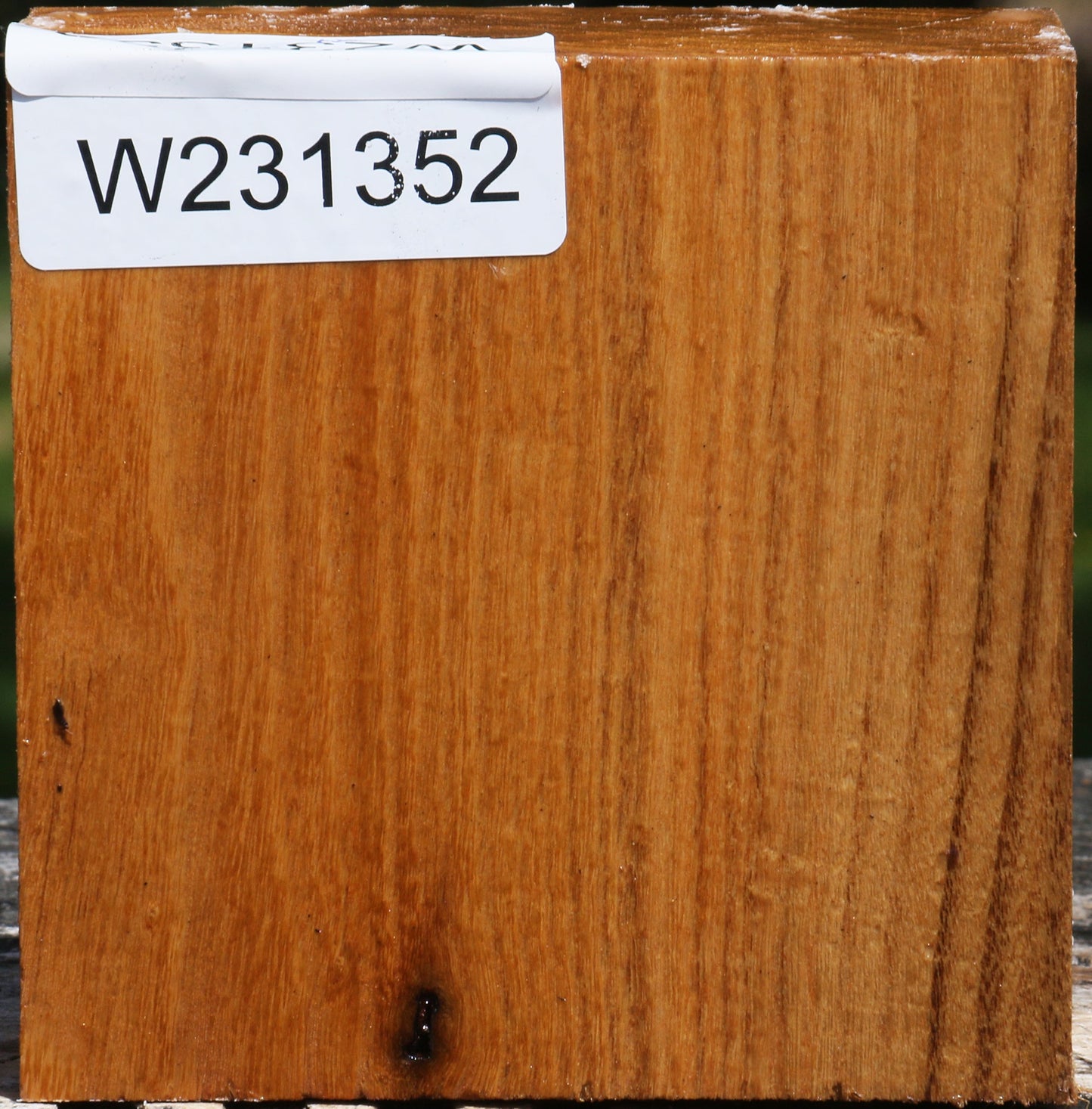 Silver Wattle Bowl Blank