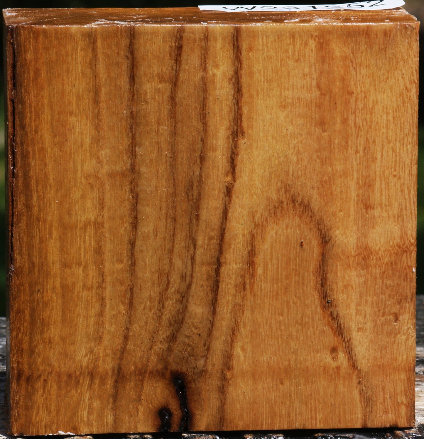 Silver Wattle Bowl Blank