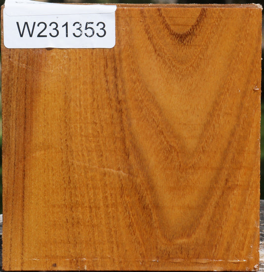 Silver Wattle Bowl Blank