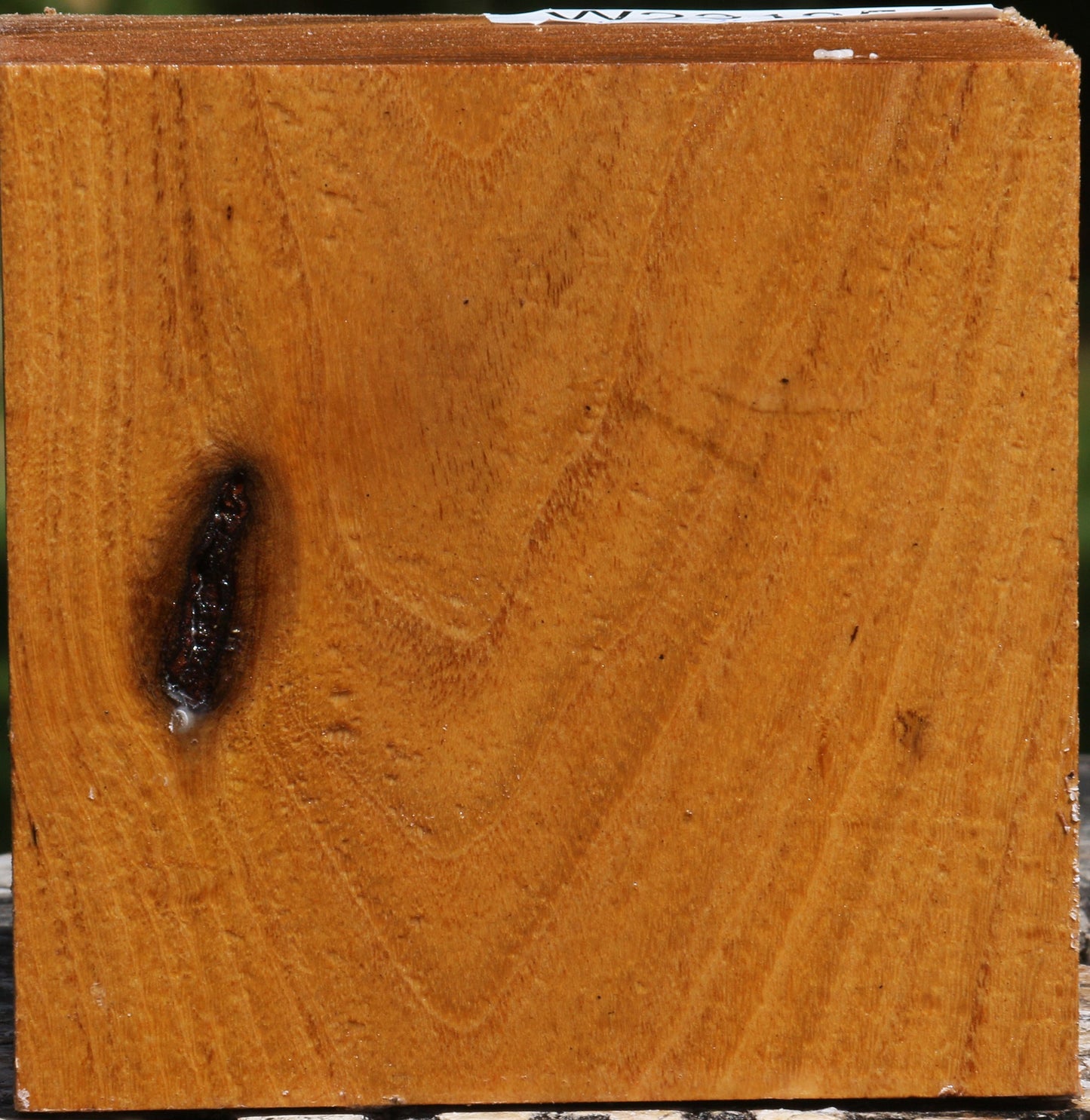 Rustic Silver Wattle Bowl Blank