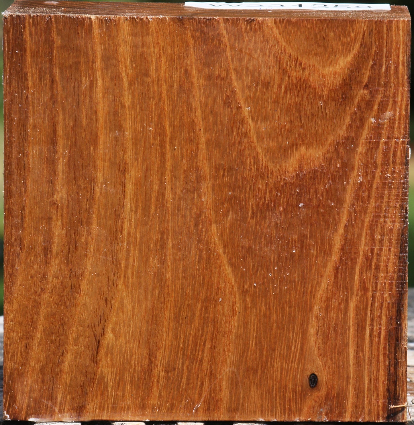 Silver Wattle Bowl Blank