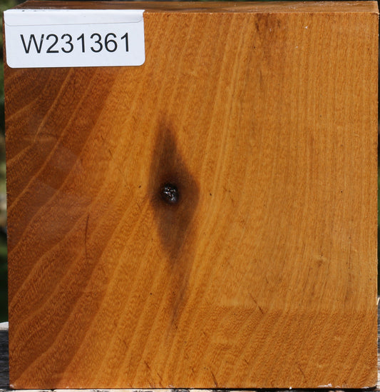 Silver Wattle Bowl Blank