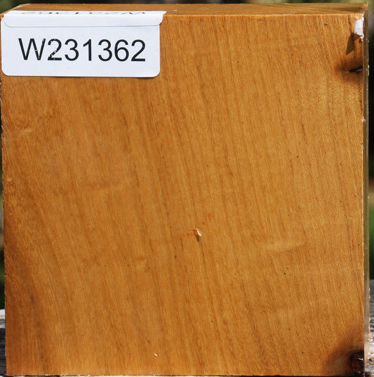 Silver Wattle Bowl Blank