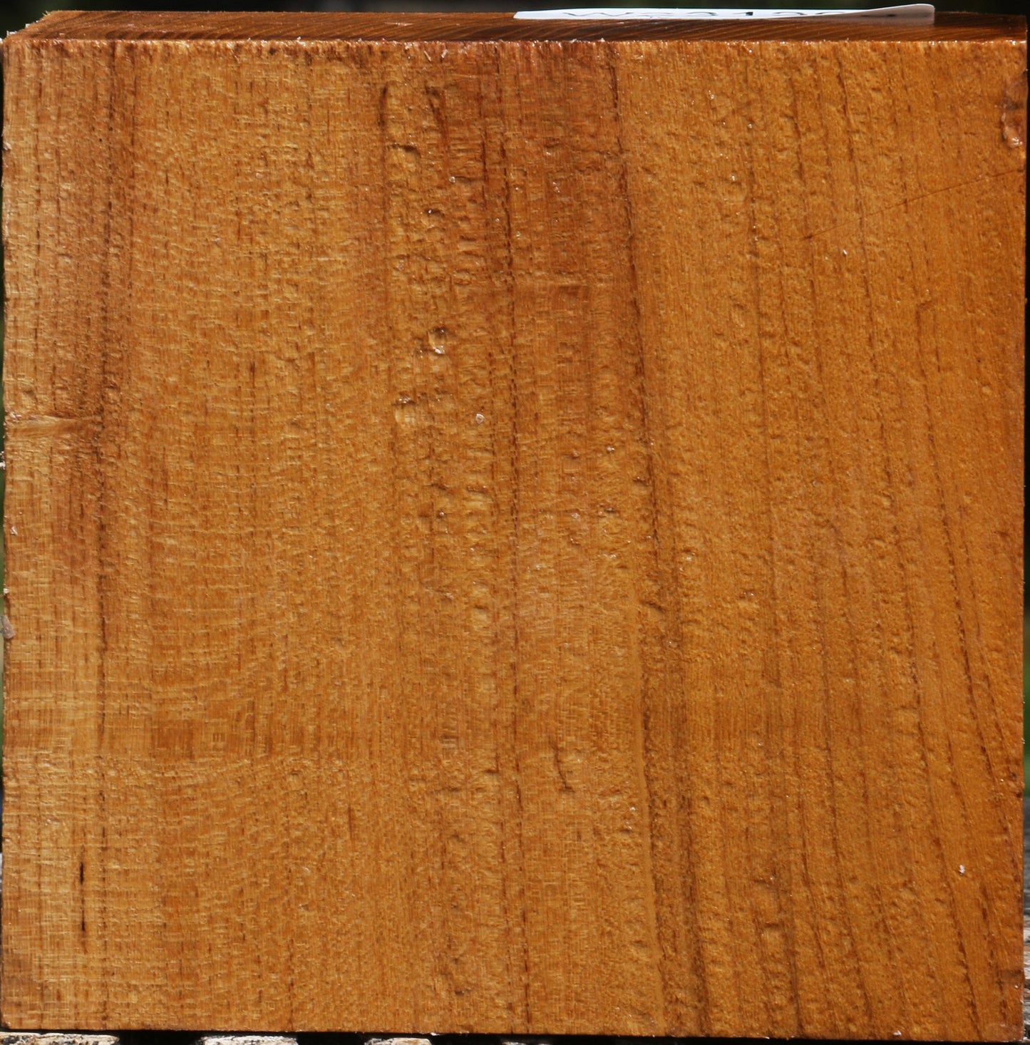 Silver Wattle Bowl Blank