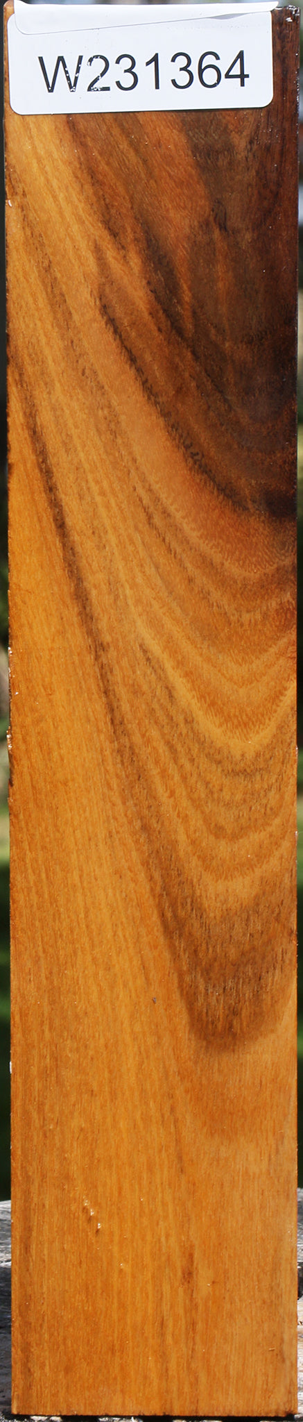 Silver Wattle Peppermill