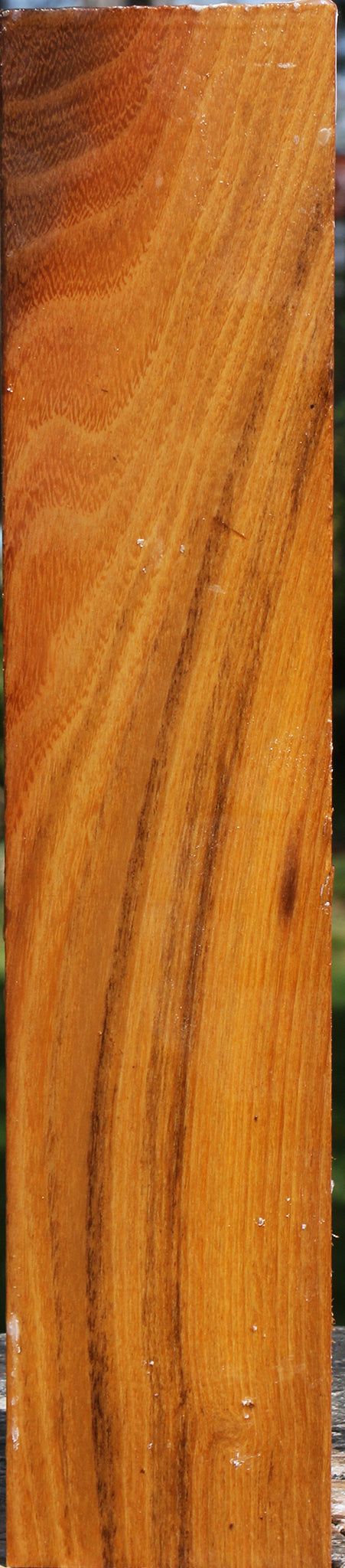 Silver Wattle Peppermill