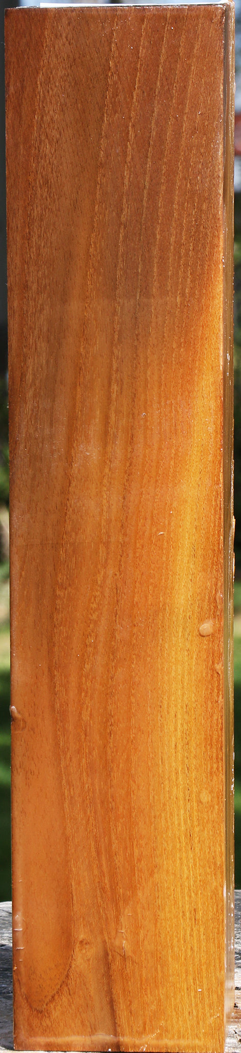 Silver Wattle Peppermill