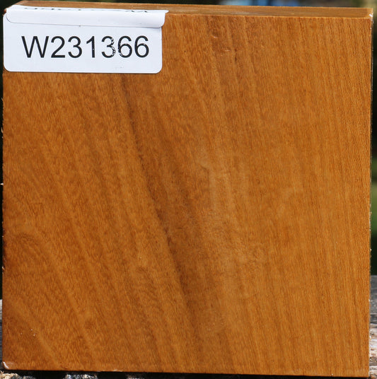 Silver Wattle Bowl Blank