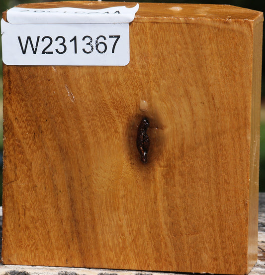 Silver Wattle Bowl Blank