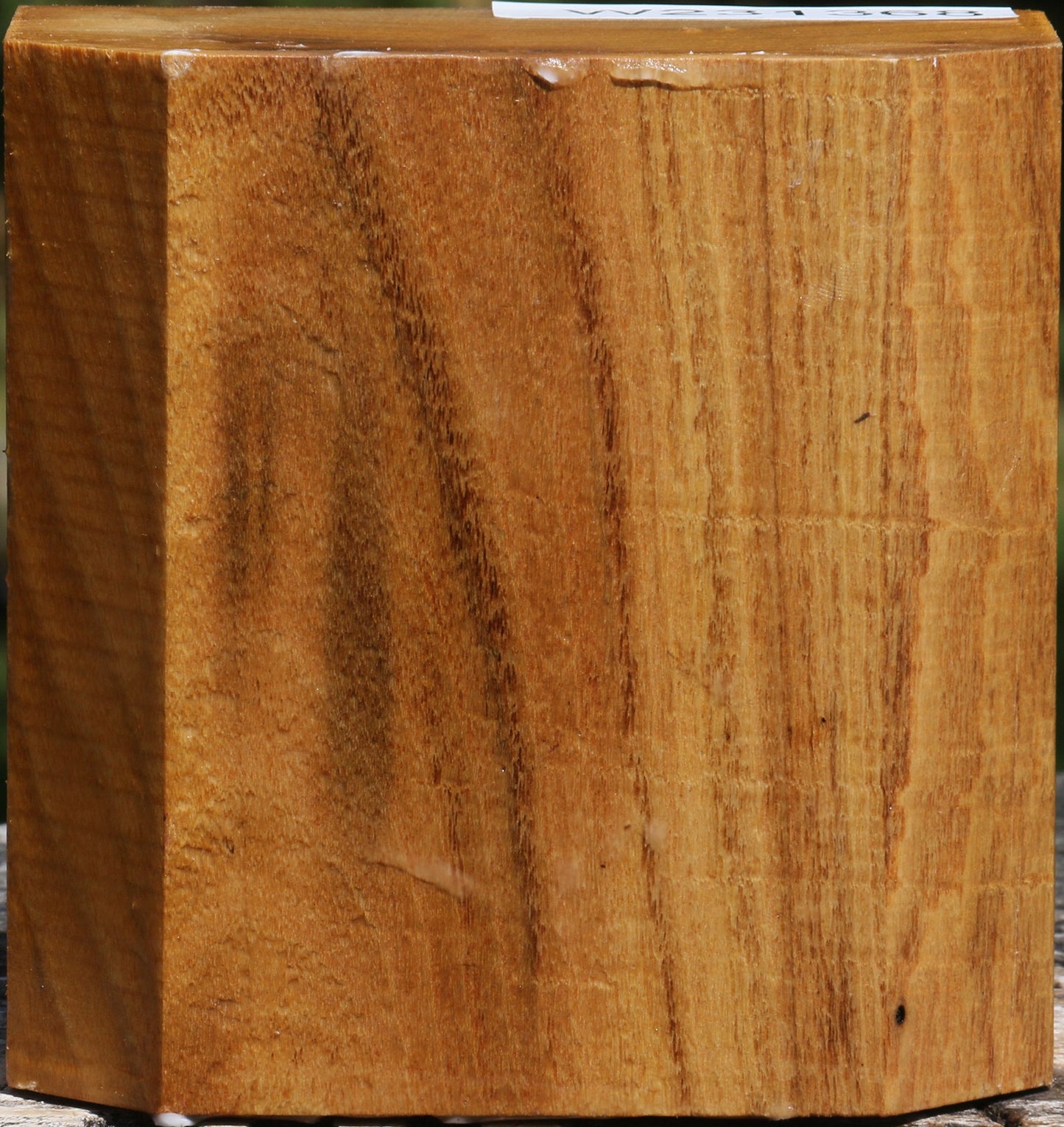 Silver Wattle Bowl Blank