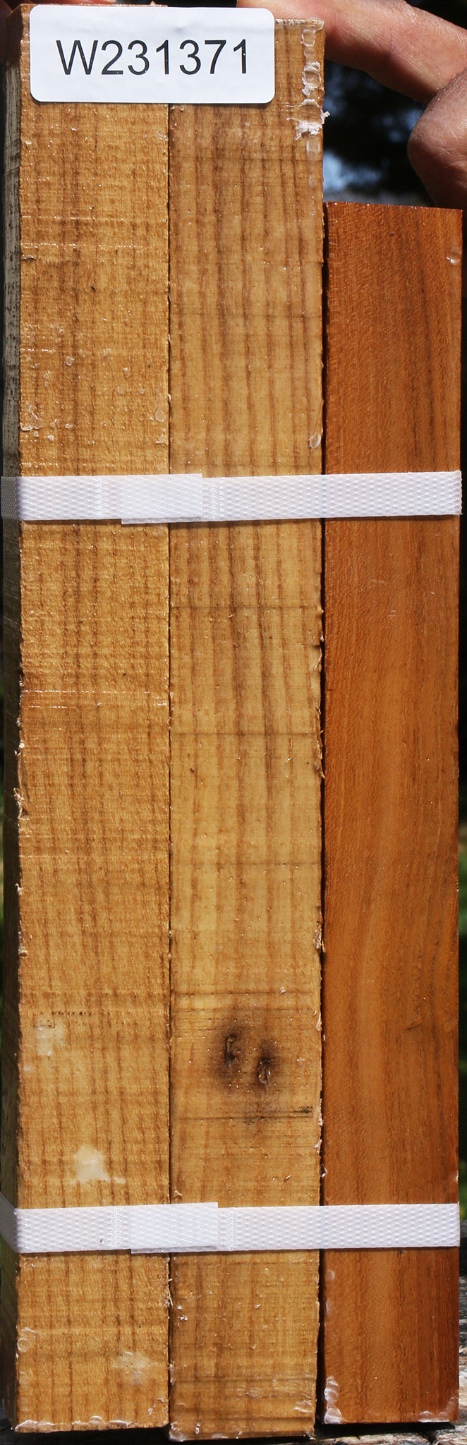 Silver Wattle Turning Square 3 Pack