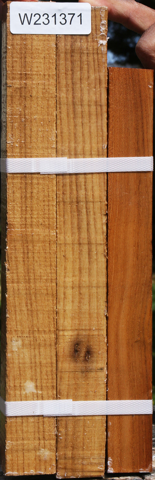 Silver Wattle Turning Square 3 Pack