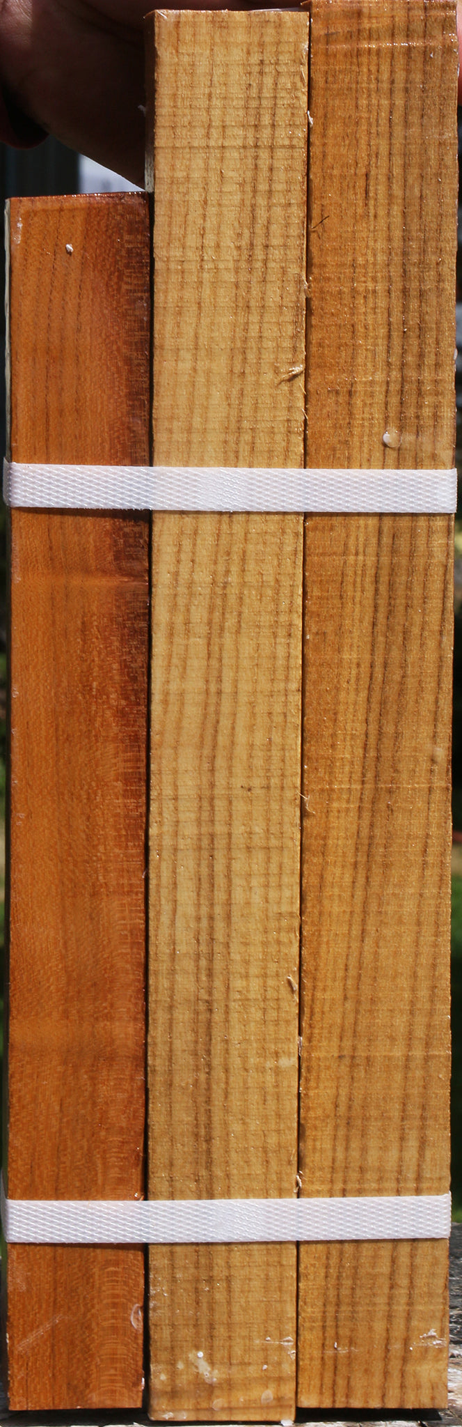 Silver Wattle Turning Square 3 Pack