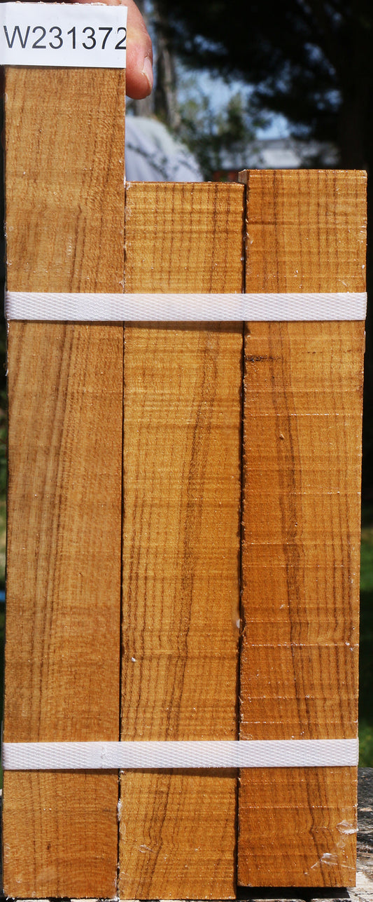 Silver Wattle Turning Square 3 Pack