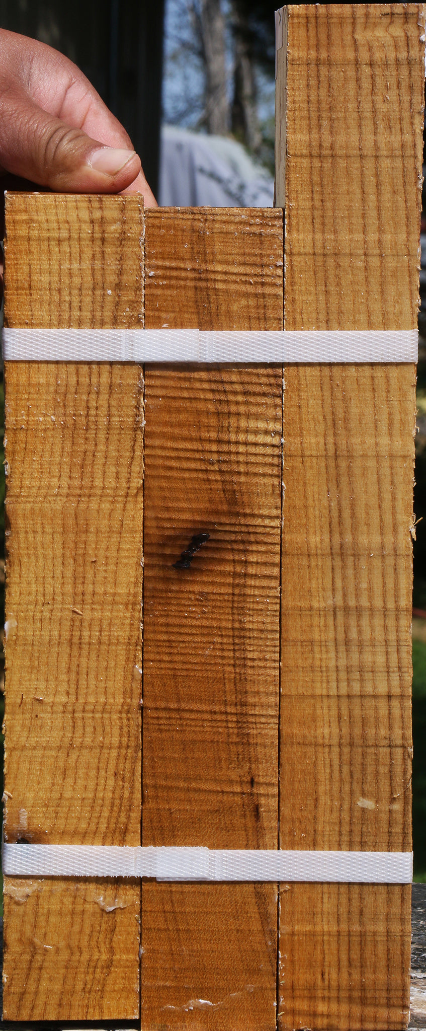 Silver Wattle Turning Square 3 Pack