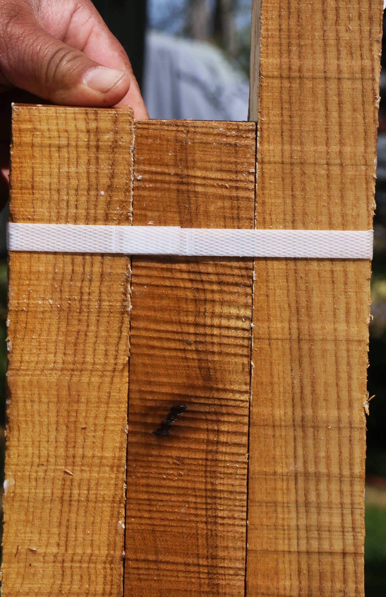 Silver Wattle Turning Square 3 Pack