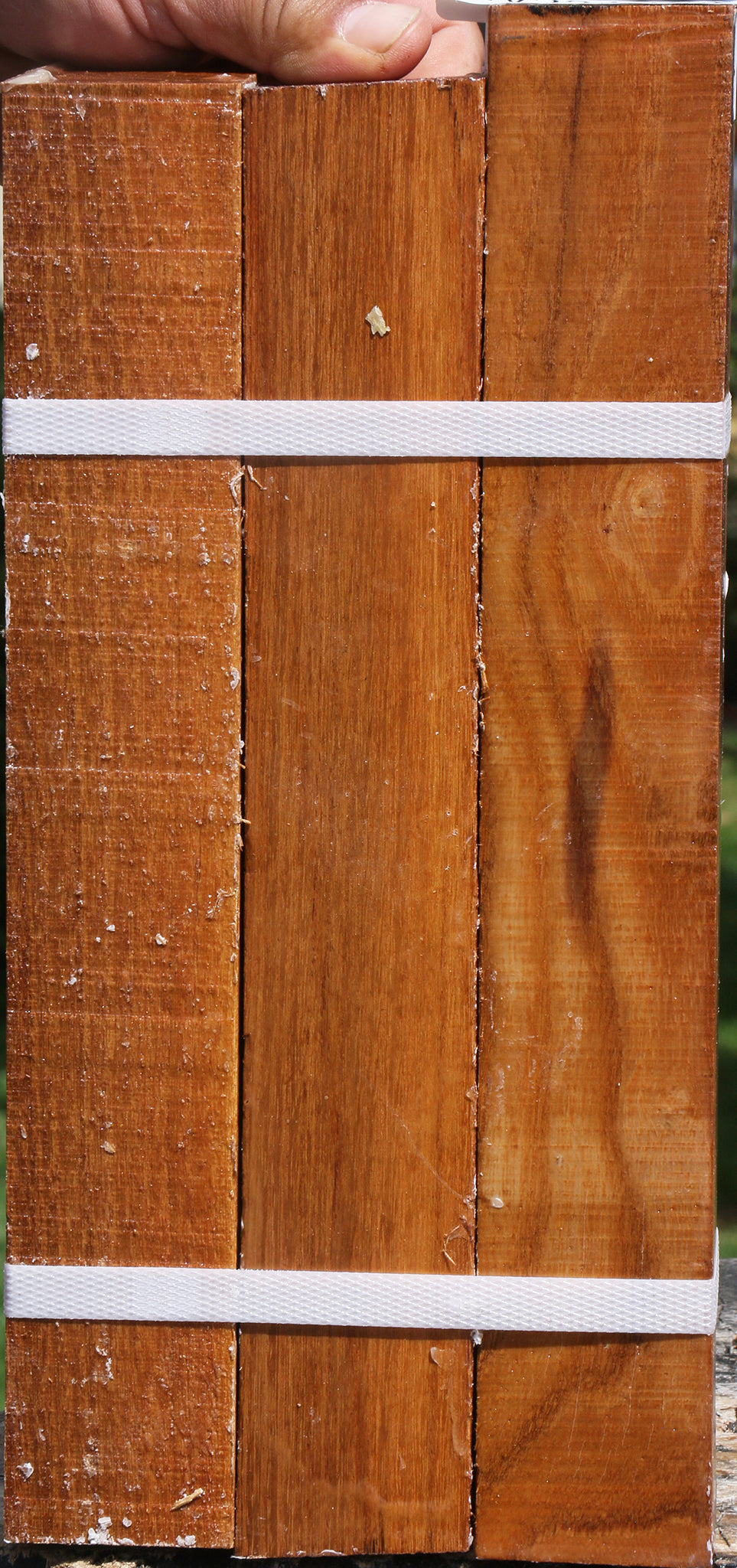 Silver Wattle Turning Square 3 Pack