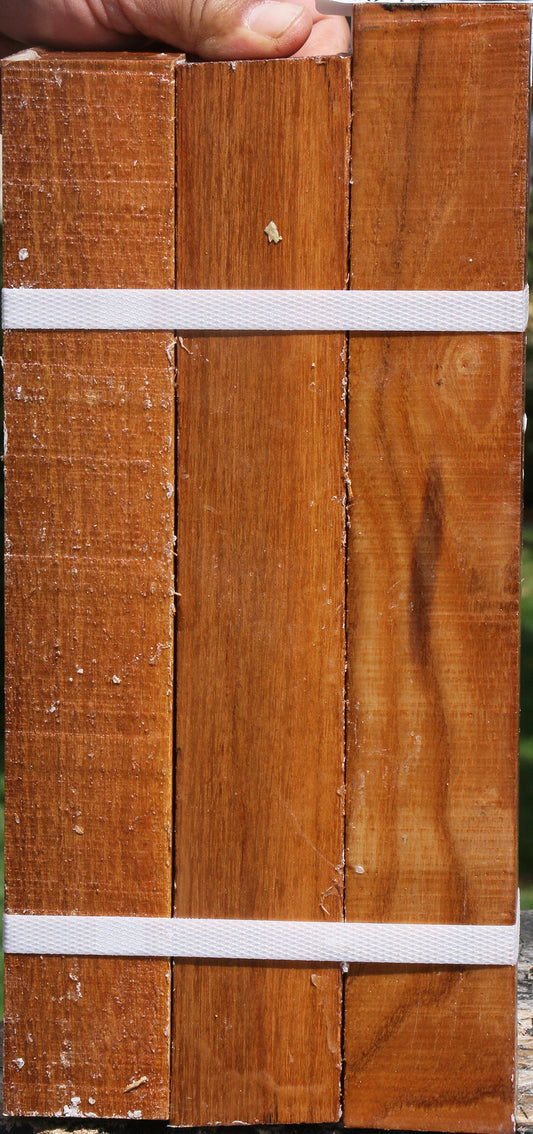 Silver Wattle Turning Square 3 Pack