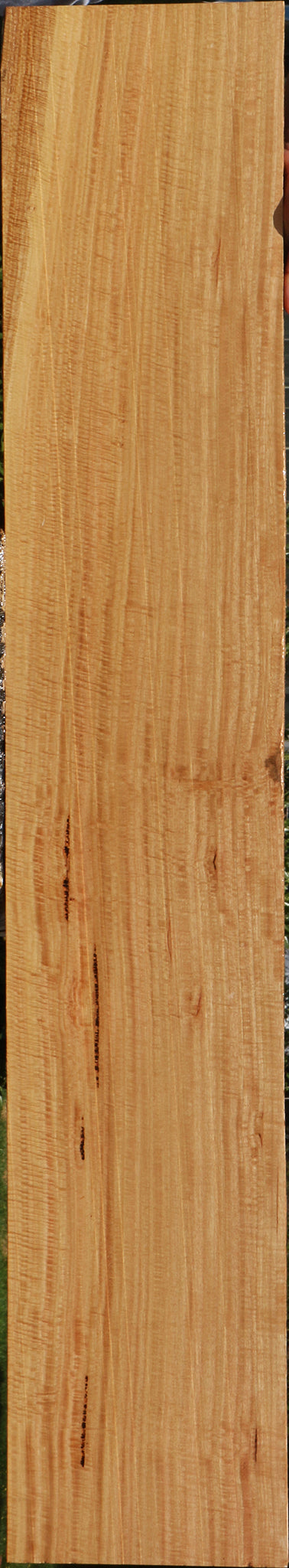 Exhibition Eucalyptus Lumber