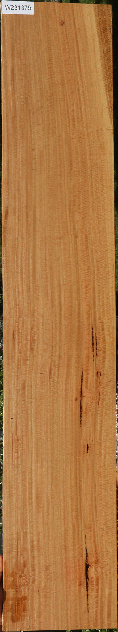 Exhibition Eucalyptus Lumber