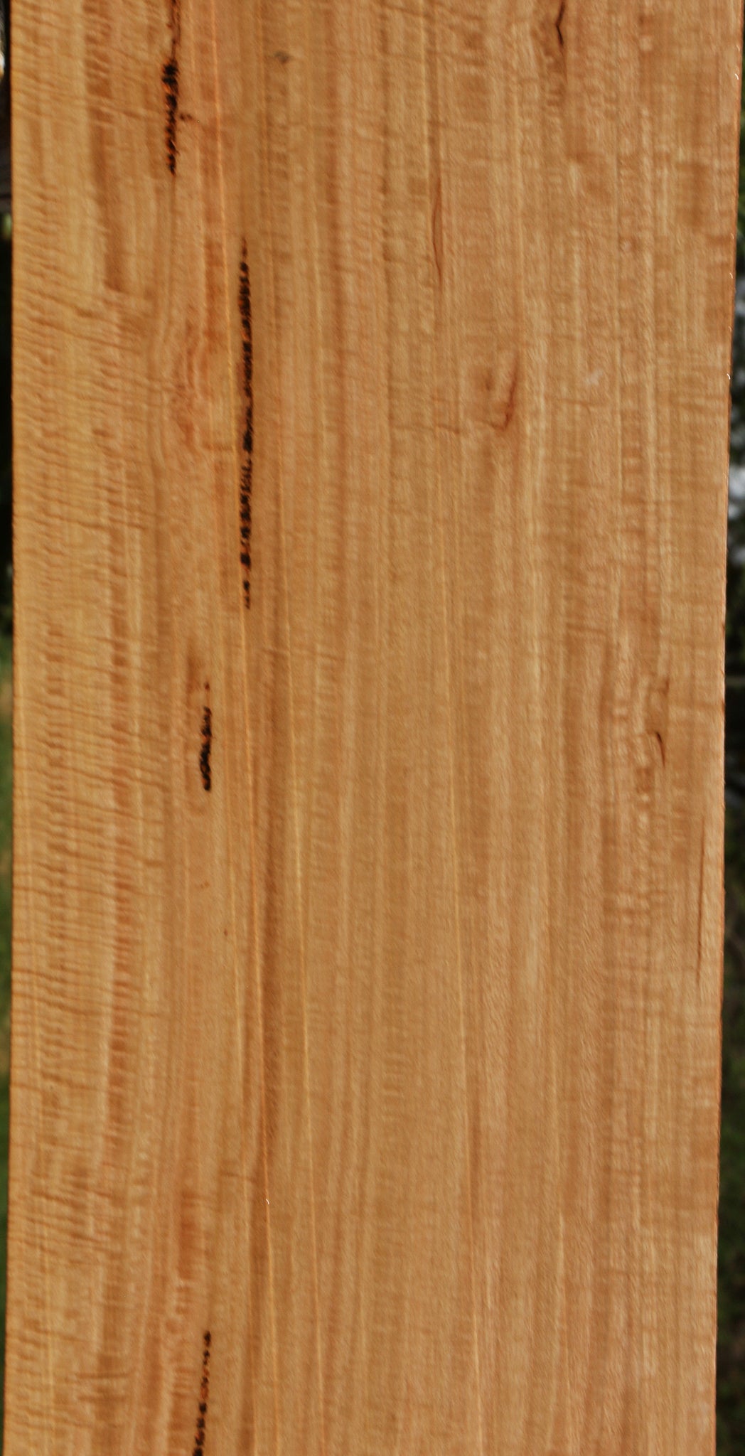 Exhibition Eucalyptus Lumber