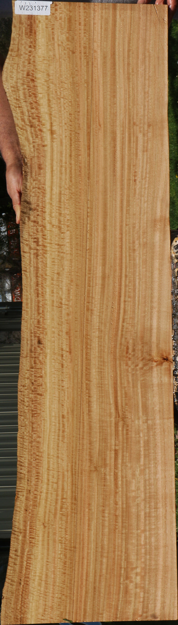 Extra Fancy Eucalyptus Live Edge Lumber