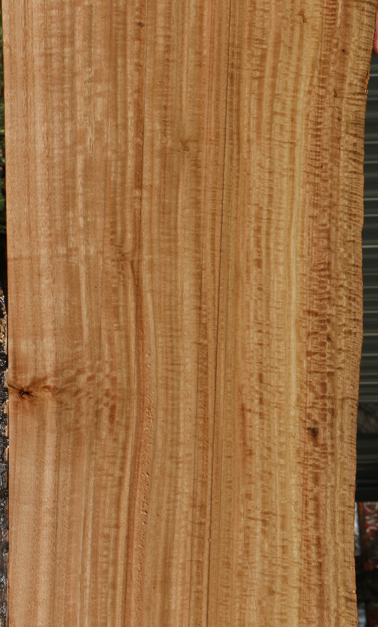 Extra Fancy Eucalyptus Live Edge Lumber