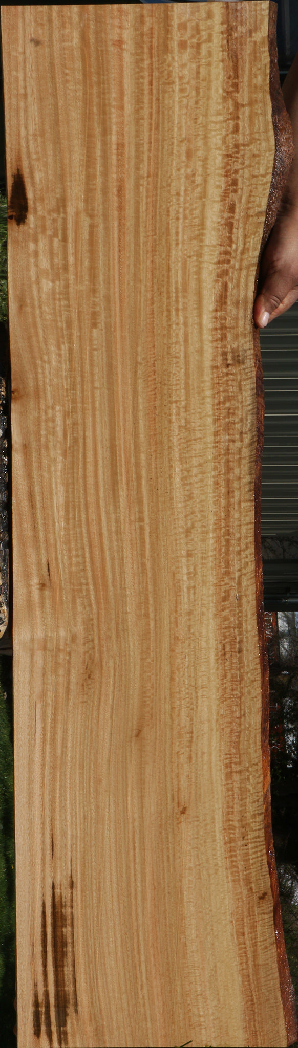 Extra Fancy Eucalyptus Live Edge Lumber