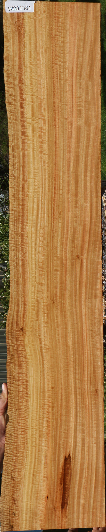 Extra Fancy Eucalyptus Live Edge Lumber
