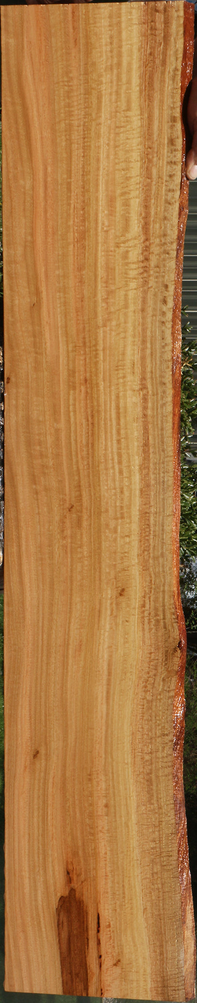 Extra Fancy Eucalyptus Live Edge Lumber