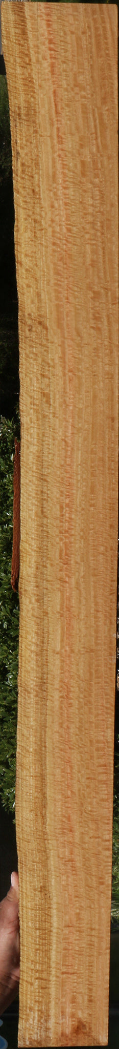 Exhibition Eucalyptus Live Edge Lumber