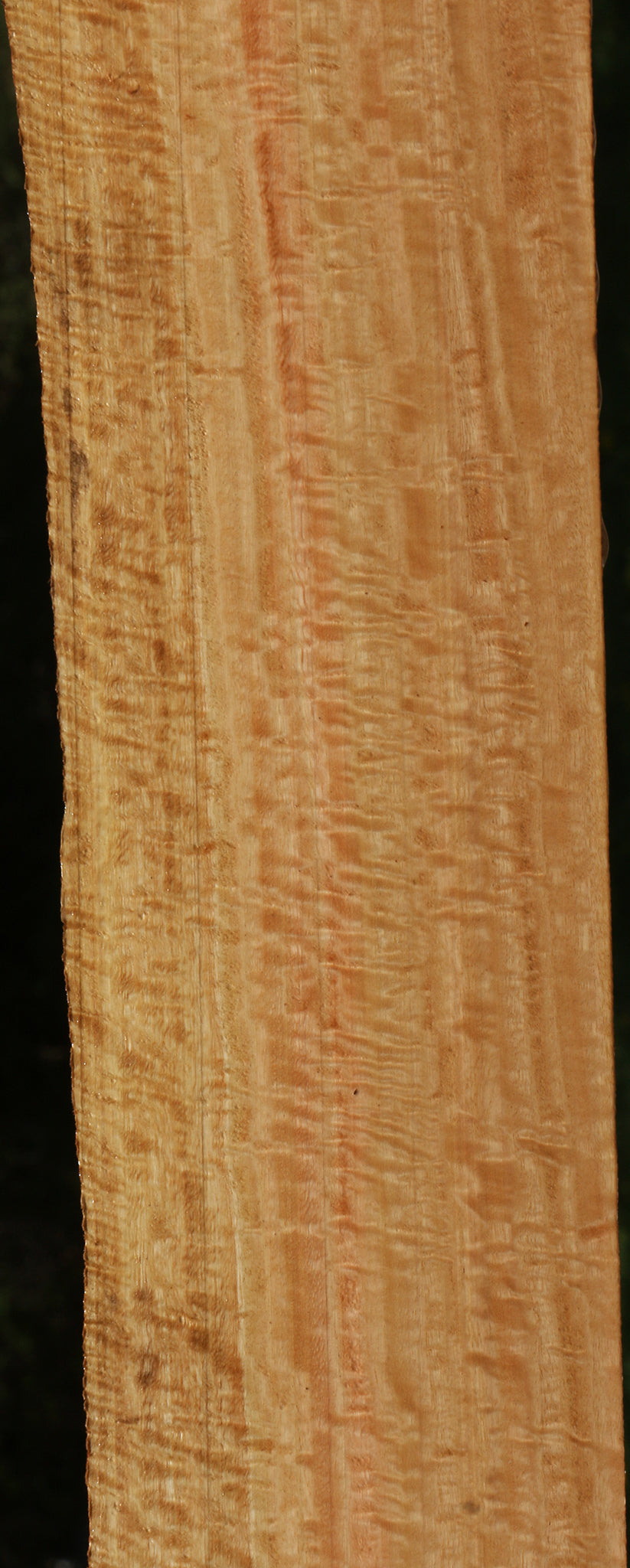 Exhibition Eucalyptus Live Edge Lumber
