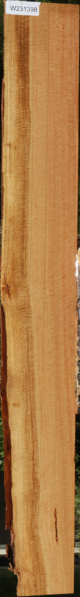 Exhibition Eucalyptus Live Edge Lumber