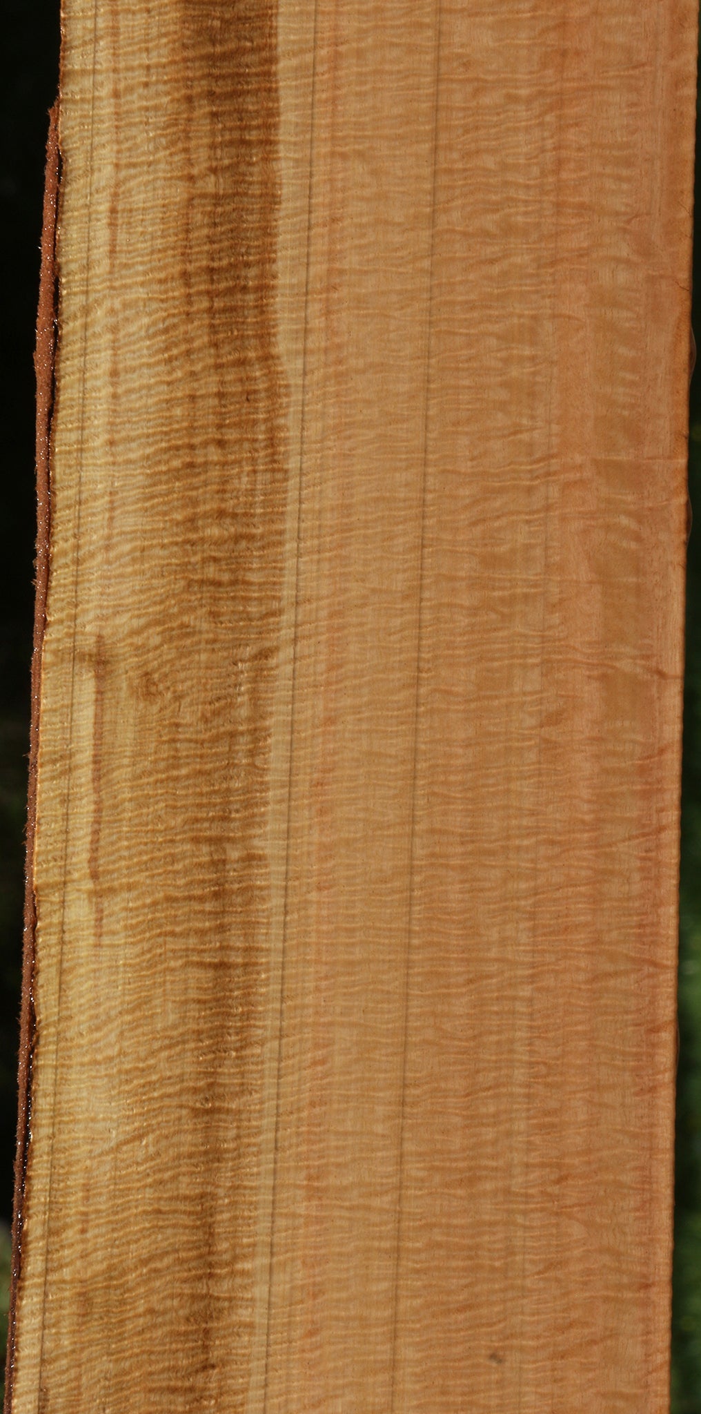 Exhibition Eucalyptus Live Edge Lumber