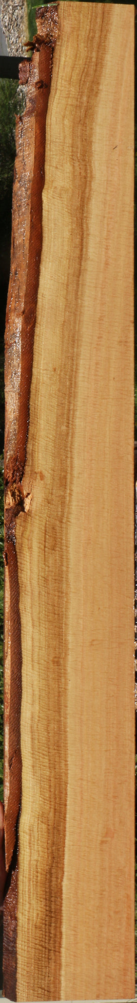 Exhibition Eucalyptus Live Edge Lumber