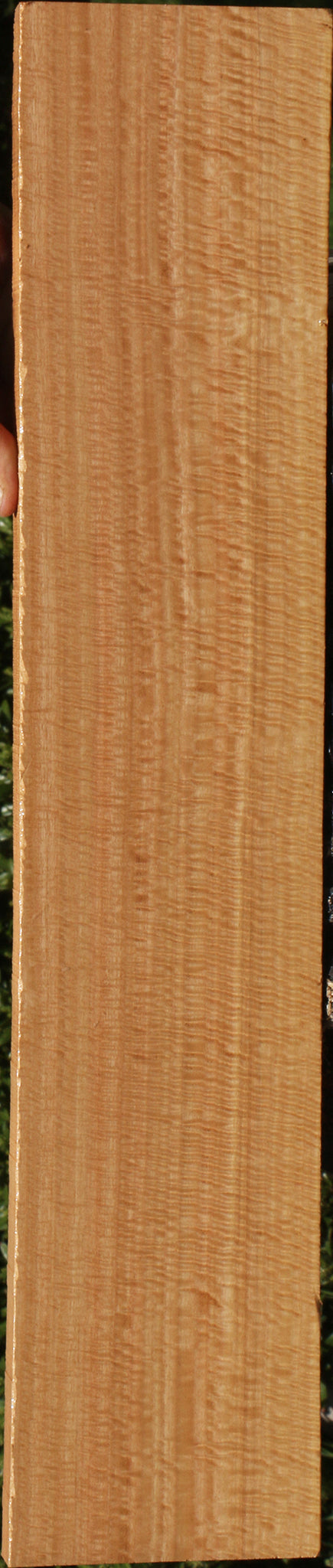 Exhibition Eucalyptus Lumber