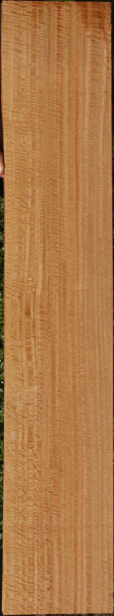 Exhibition Eucalyptus Lumber