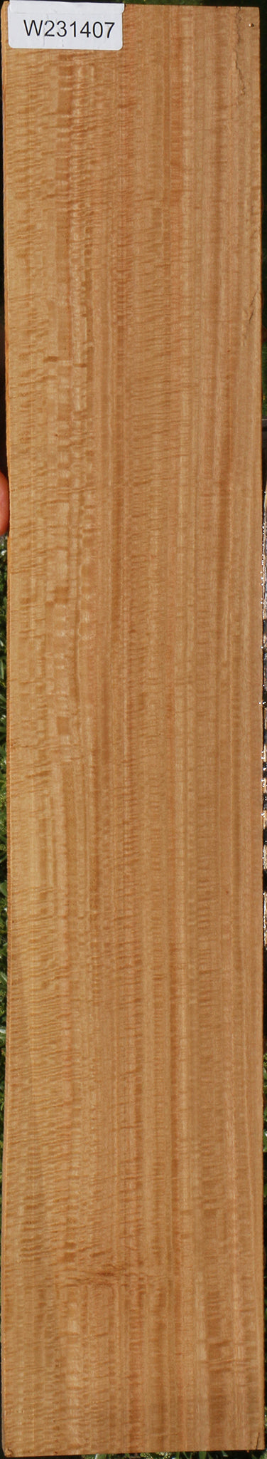 Exhibition Eucalyptus Lumber