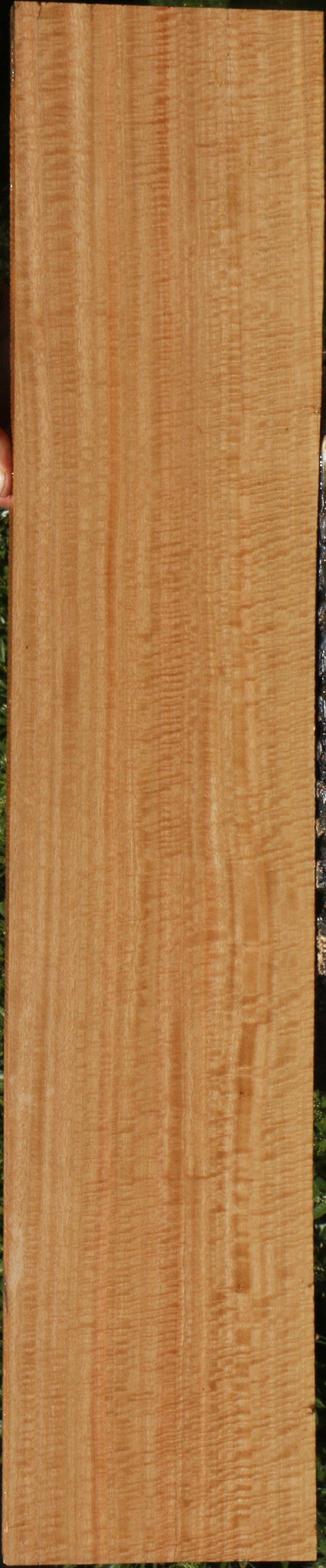Exhibition Eucalyptus Lumber