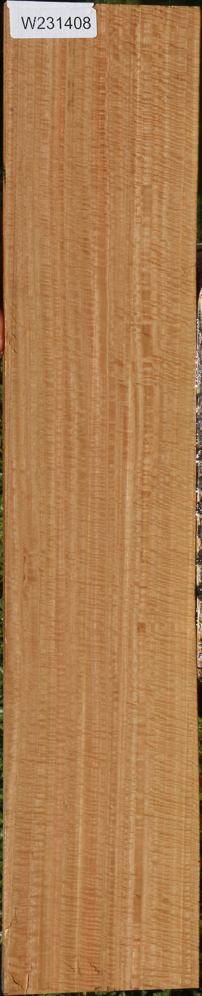Exhibition Eucalyptus Lumber
