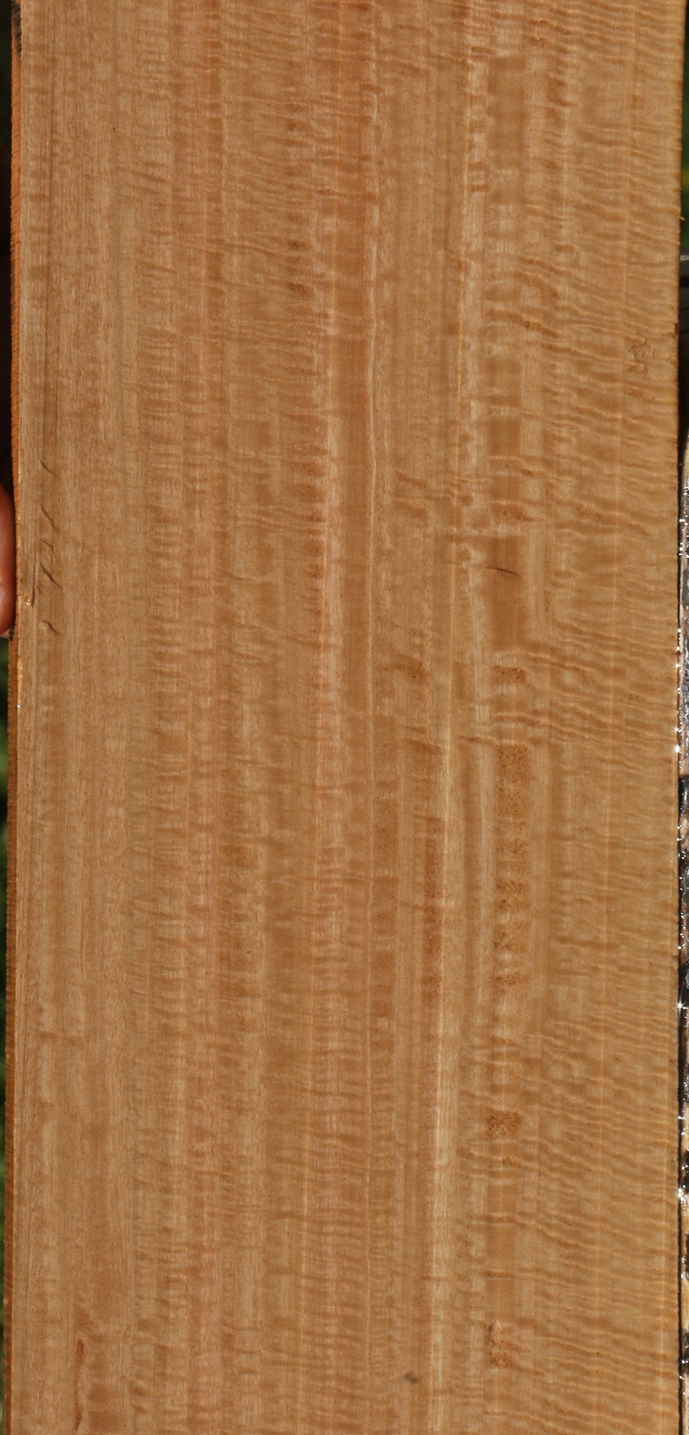 Exhibition Eucalyptus Lumber