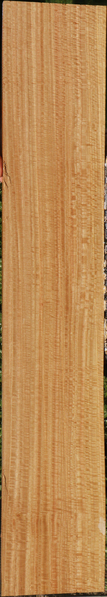 Exhibition Eucalyptus Lumber