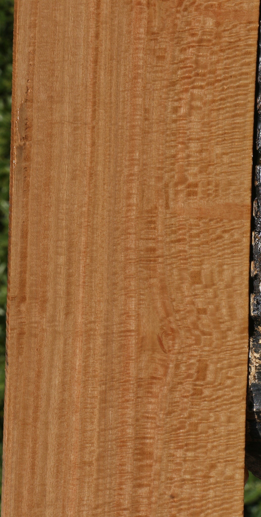 Extra Fancy Eucalyptus Lumber